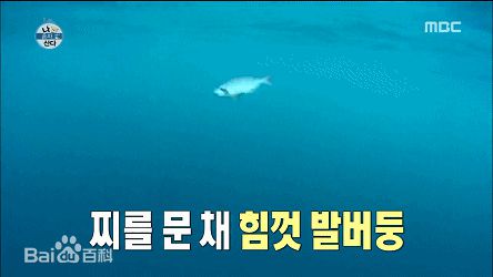 李泰坤( Lee Tae Gon)最新动图册性感图片图集