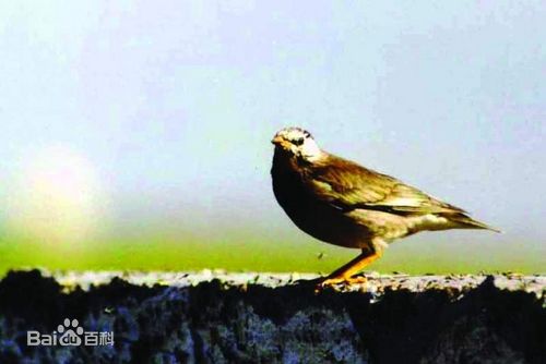 高清李泰坤( Lee Tae Gon)图片