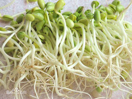 高清李己雨(Lee Ki Woo)图片