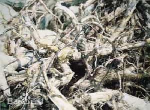 郑士龙前后照片