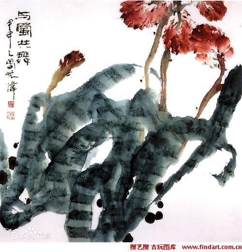 最新沈光伟性感图片