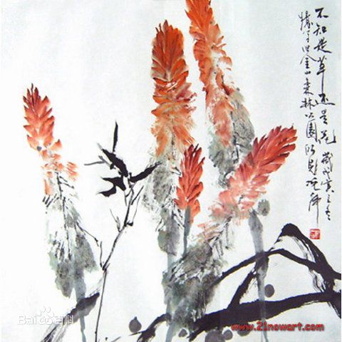 最新沈光伟性感图片