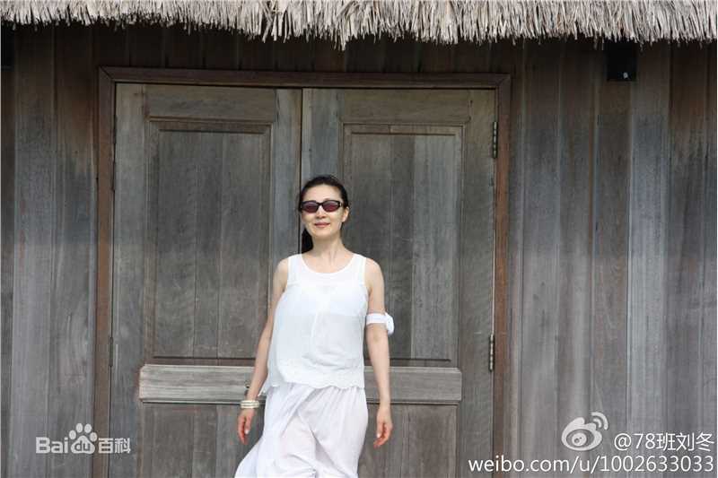 刘冬近照壁纸壁纸