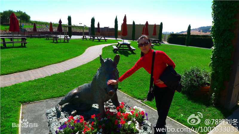 刘冬近照壁纸壁纸