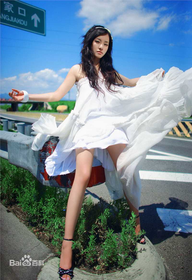 卢思思个人图册图片图集