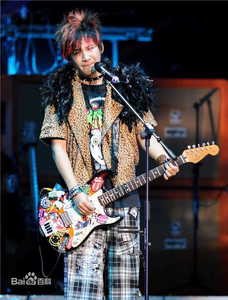 大张伟(Zhang Wei)演唱会生活照相册