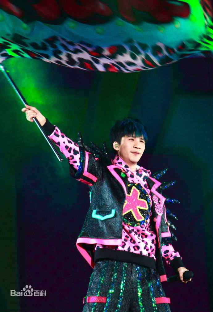 大张伟(Zhang Wei)演唱会生活照相册