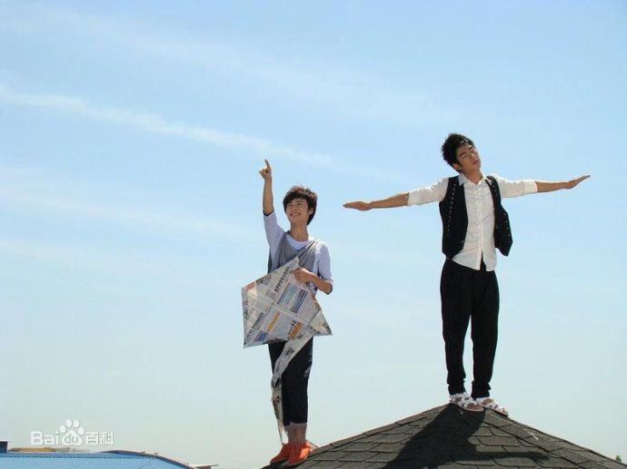 青鸟飞鱼(blue bird flying fish)精选图册