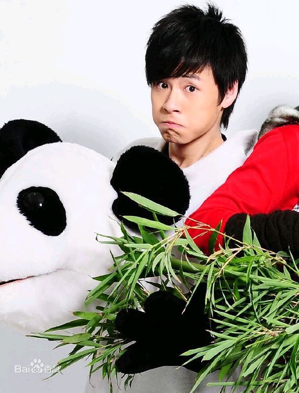 青鸟飞鱼(blue bird flying fish)精选图册