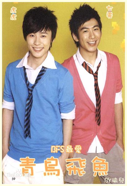 青鸟飞鱼(blue bird flying fish)精选图册