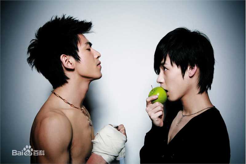 青鸟飞鱼(blue bird flying fish)精选图册