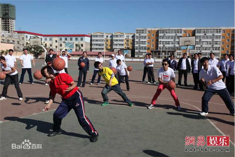 高清青鸟飞鱼(blue bird flying fish)精彩图册