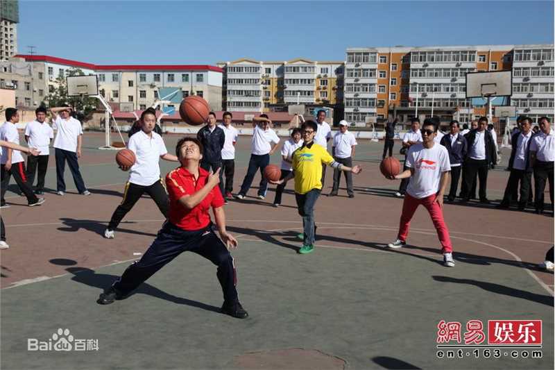 高清青鸟飞鱼(blue bird flying fish)精彩图册