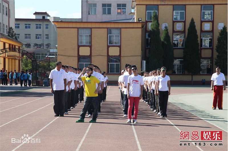 高清青鸟飞鱼(blue bird flying fish)精彩图册