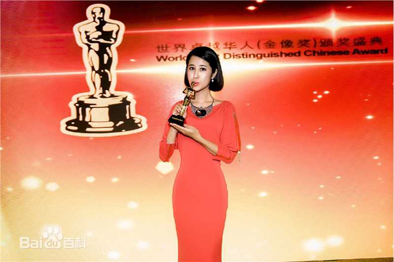 李凤鸣在第2届中美国际电视节素颜照相册