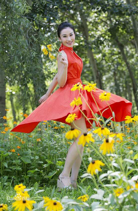 朱子岩高清红裙图集