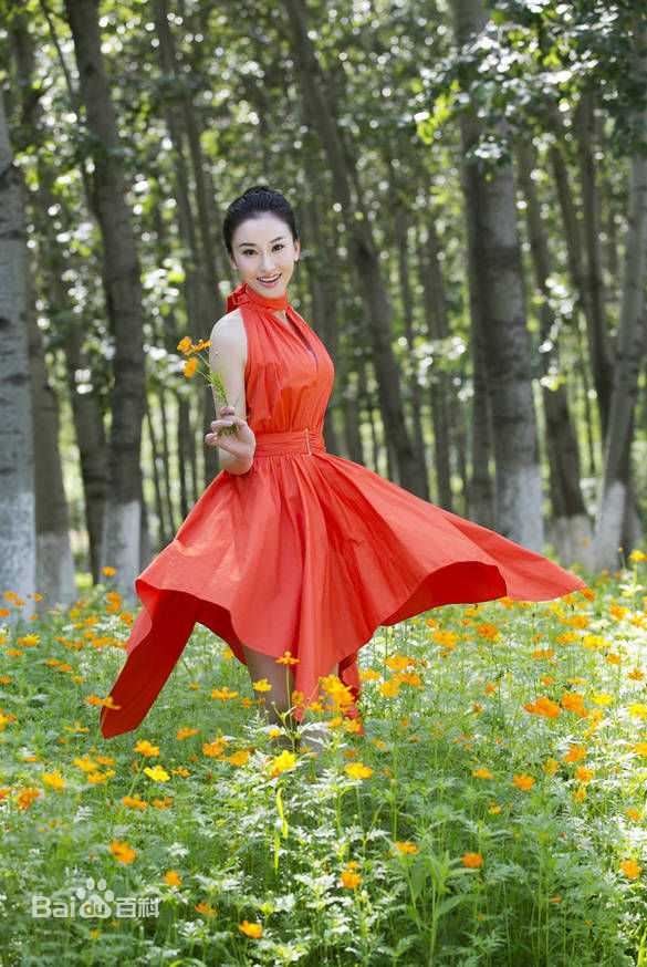 朱子岩高清红裙图集