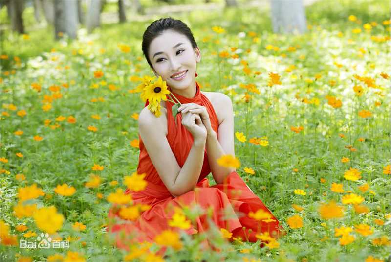 朱子岩高清红裙图集