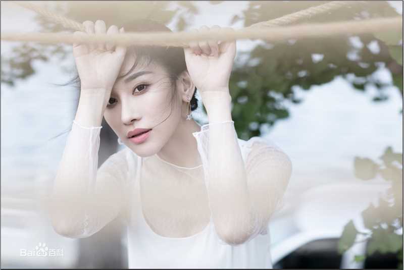 朱子岩精选图册