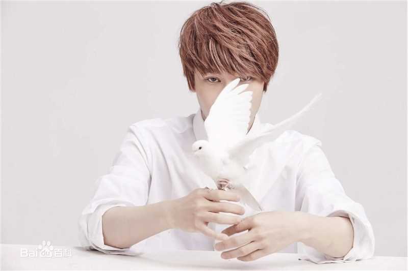 陈奕天(Eachen)最新壁纸