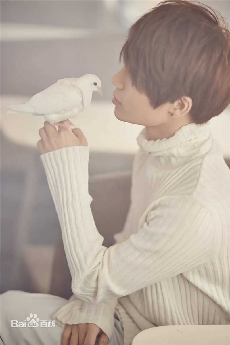 陈奕天(Eachen)最全火车壁纸