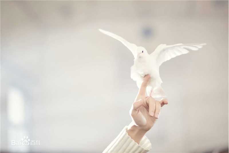 陈奕天(Eachen)最全火车壁纸