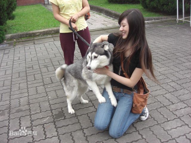 最全林逸欣(Shara Lin)精彩图册