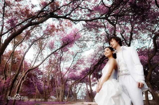 洪卓立(Ken Hung ，Hung Cheuk Lap)与阿SA婚纱图片图集