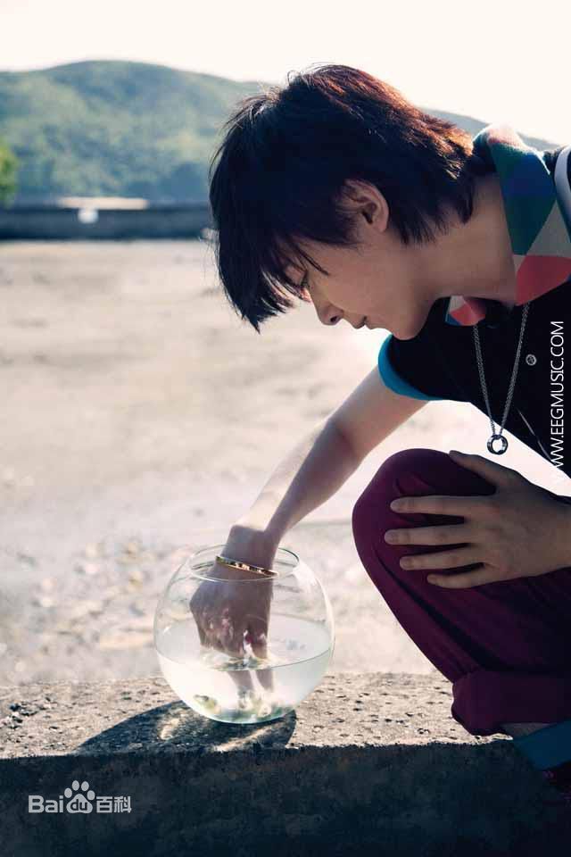 精选洪卓立(Ken Hung ，Hung Cheuk Lap)精彩图册