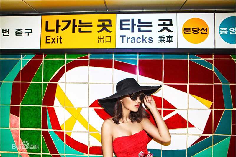 蔡蝶(Vanessa)韩国街拍素颜照相册