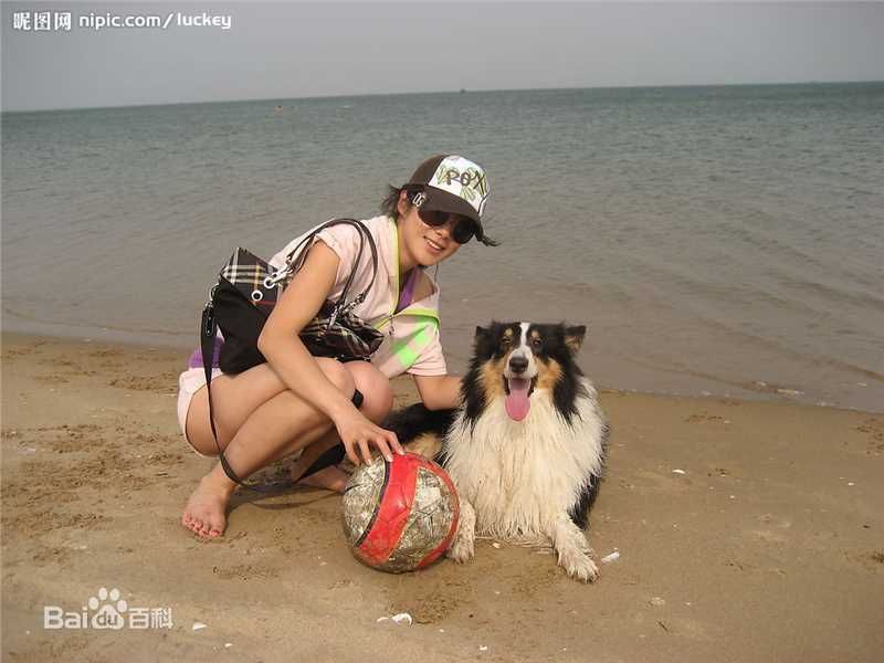 高清王珂(Kelly)图片