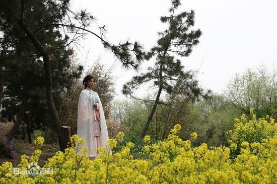 王珂(Kelly)孔雀东南飞素颜照相册