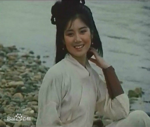 赵雪芹神捕铁中英 高清剧照