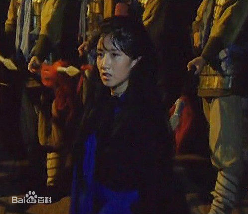 赵雪芹神捕铁中英 高清剧照