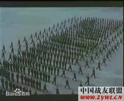 邹倚天《中国霸王花》最优质剧照