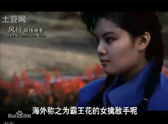 邹倚天《中国霸王花》最优质剧照