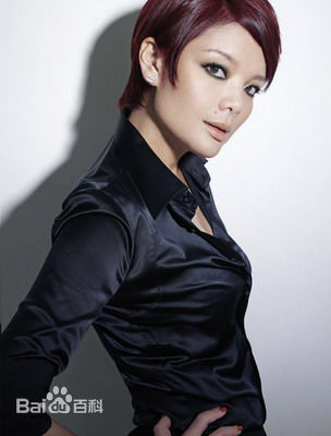 邹倚天高清转型后的照图集