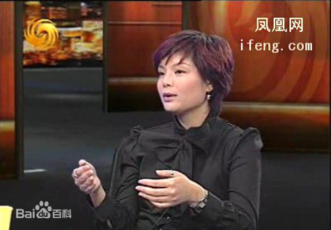 最全邹倚天在《锵锵三人行》照片中的壁纸