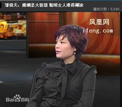 最全邹倚天在《锵锵三人行》照片中的壁纸