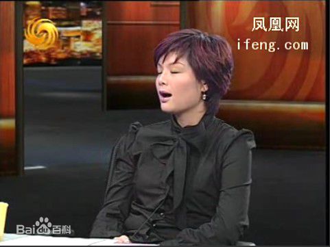 最全邹倚天在《锵锵三人行》照片中的壁纸