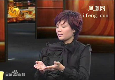 最全邹倚天在《锵锵三人行》照片中的壁纸