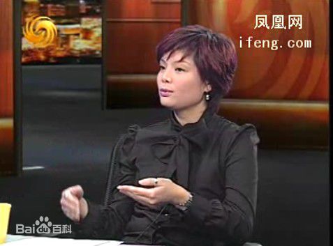 最全邹倚天在《锵锵三人行》照片中的壁纸