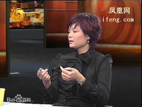 最全邹倚天在《锵锵三人行》照片中的壁纸