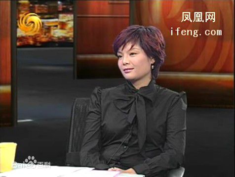 最全邹倚天在《锵锵三人行》照片中的壁纸