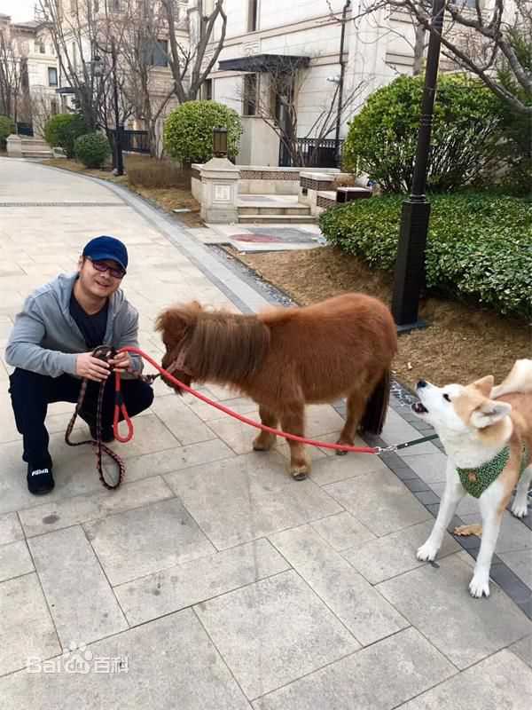 陈楚童(Jason)生活照素颜照相册