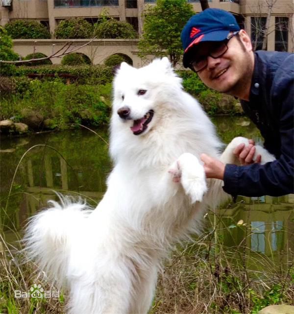 陈楚童(Jason)生活照素颜照相册