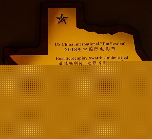 陈楚童(Jason)2018美中电影节荣获最佳导演奖前后照片