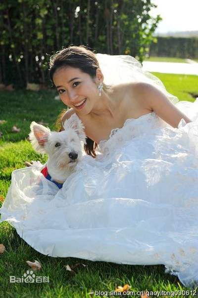 高一童婚纱照前后照片