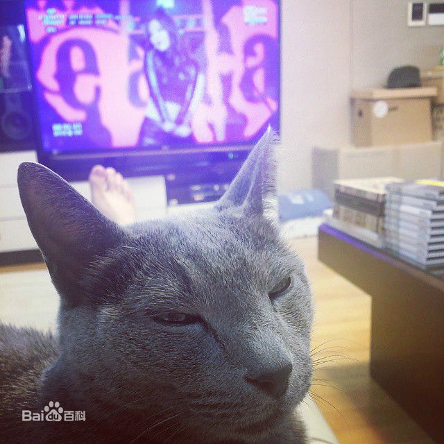 金希澈(Kim HeeChul、キム ヒチョル)的宝贝希范壁纸壁纸