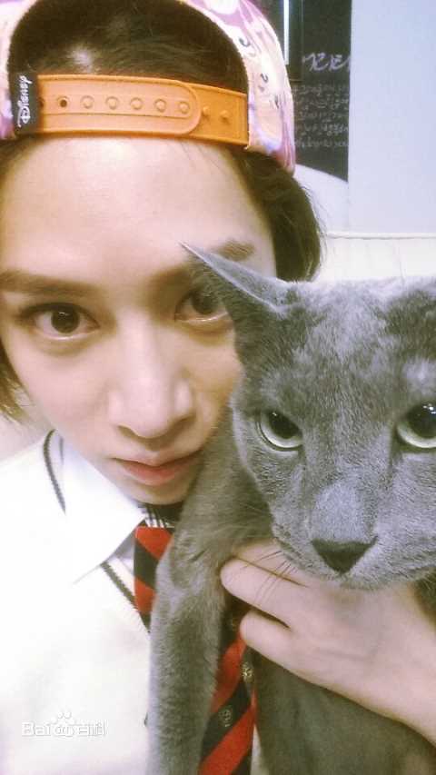 金希澈(Kim HeeChul、キム ヒチョル)的宝贝希范壁纸壁纸